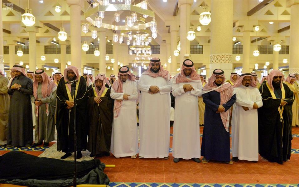 الصور الصور