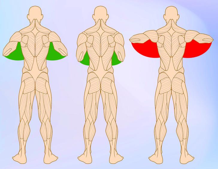 التمارين الرياضية التمارين الرياضية