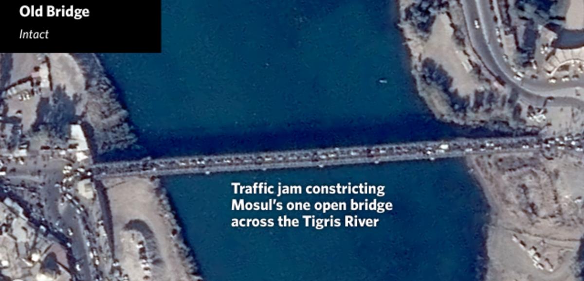 الصور الصور