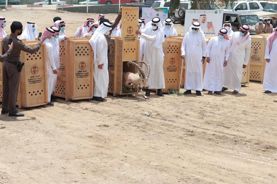 المركز الوطني للحياة الفطرية