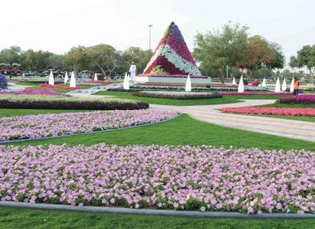 العين تتكحل بمليوني زهرة