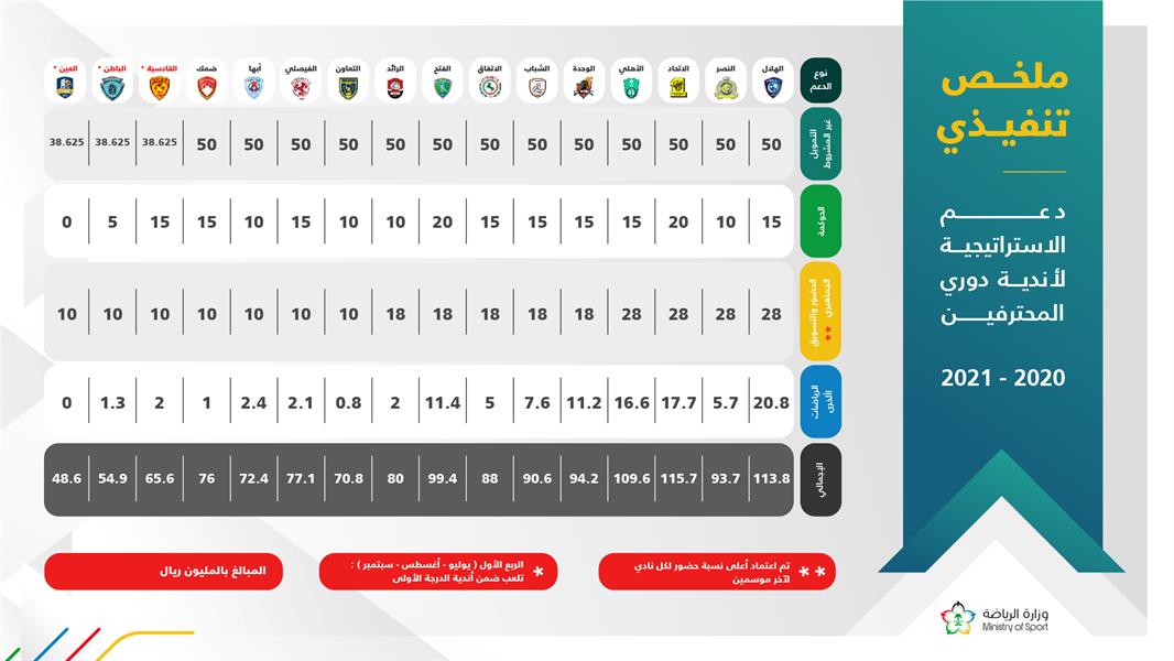 استراتيجية دعم أندية دوري المحترفين