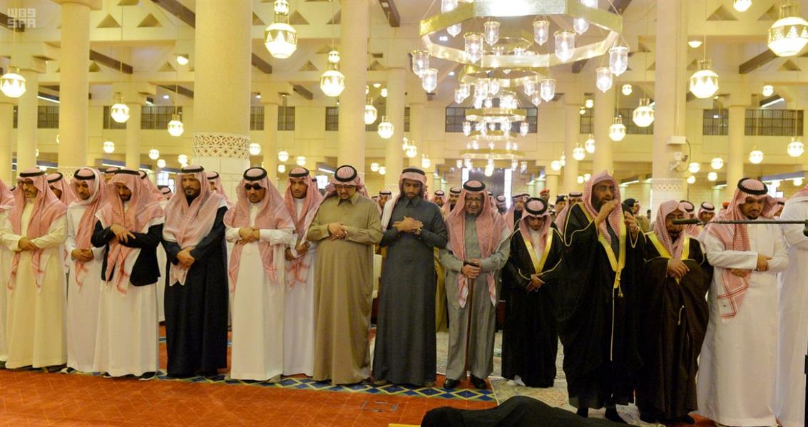 الصور الصور