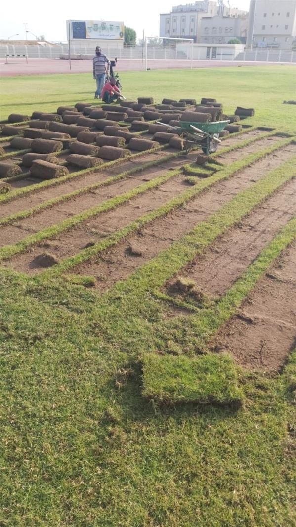 أرضية ملعب نادي الخليج أرضية ملعب نادي الخليج