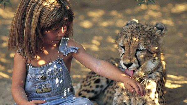 ماوكلي ماوكلي