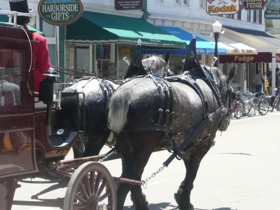 جزر كابري.. وهيدرا.. وماكينك