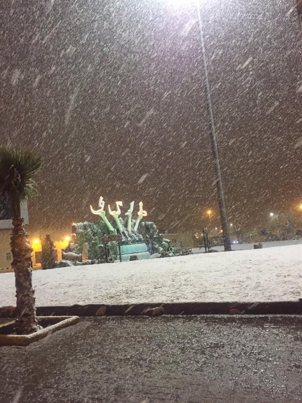 الصورة الصورة