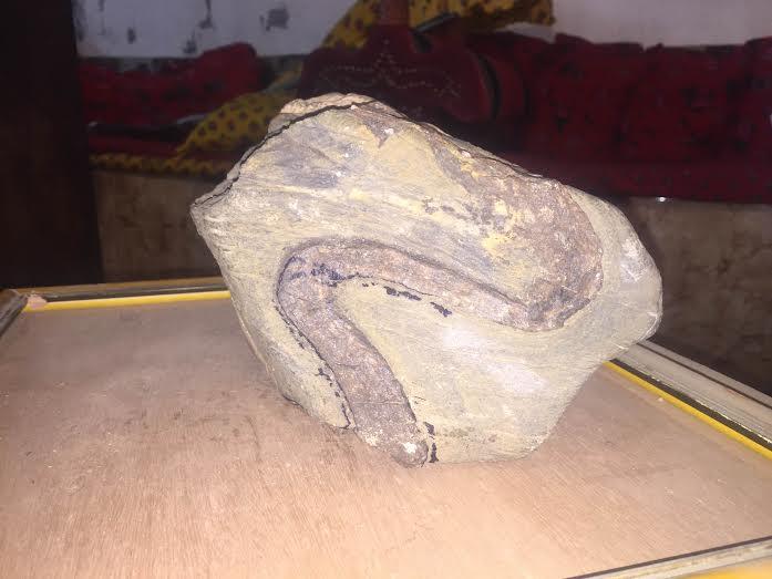 بالصور..  ثعبان ملتحم بصخرة عمرها 500 عام بالنماص