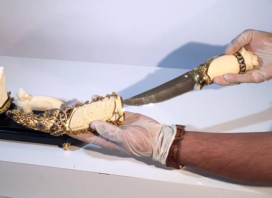 الصور الصور