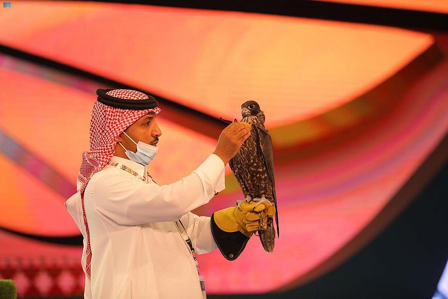 بالمزاد الدولي لنادي الصقور.. بيع صقر إنجليزي بـ64 ألف ريال  