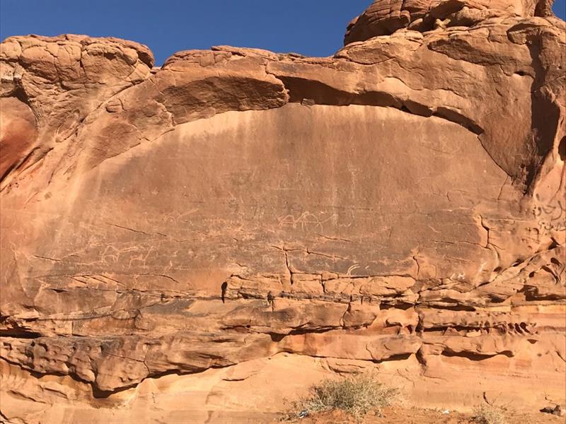 العلا العلا