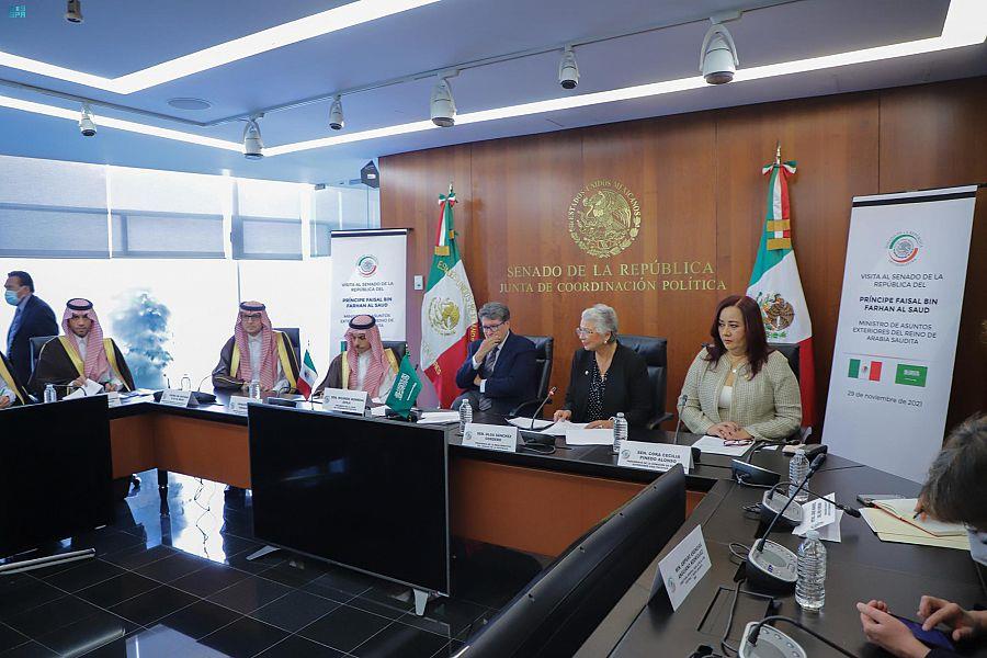 وزير الخارجية يلتقي رئيسة مجلس الشيوخ المكسيكي