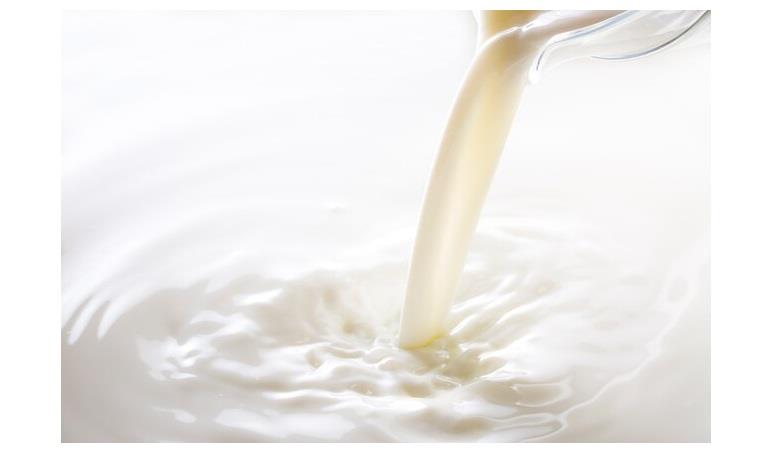 الحليب الخام الحليب الخام