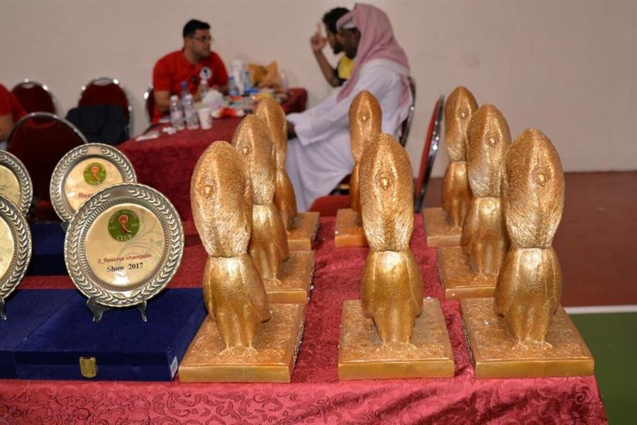 ملكة جمال الحمام في السعودية بسعر 55 ألفاً