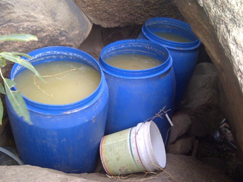 بالصور.. بالصور..