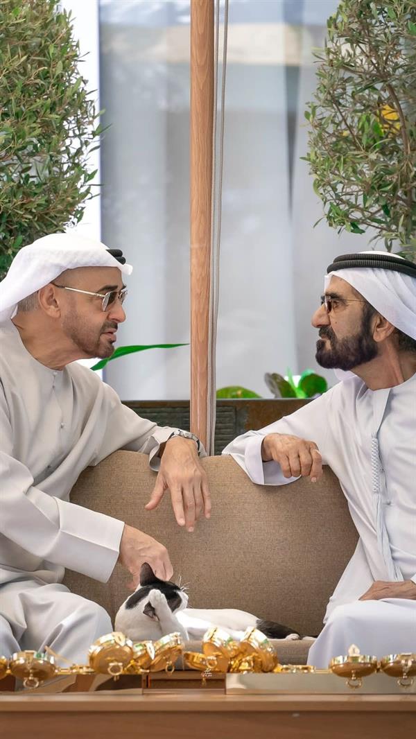 قطة تخطف الأنظار خلال لقاء محمد بن زايد ومحمد بن راشد