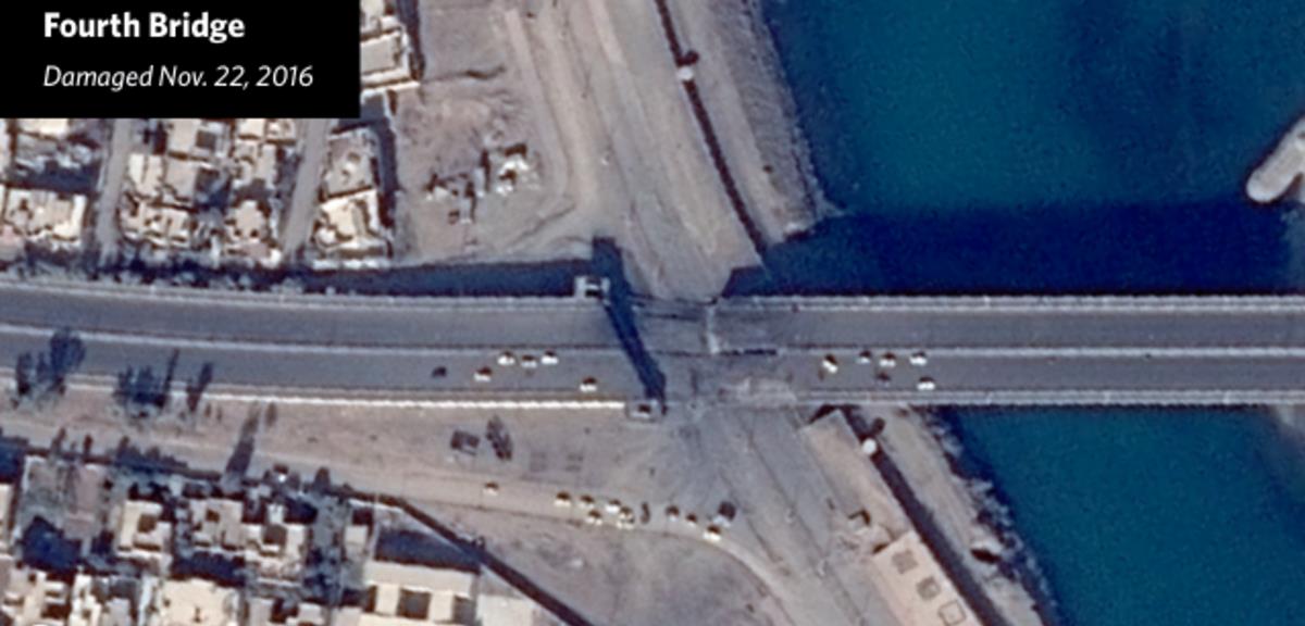 الصور الصور