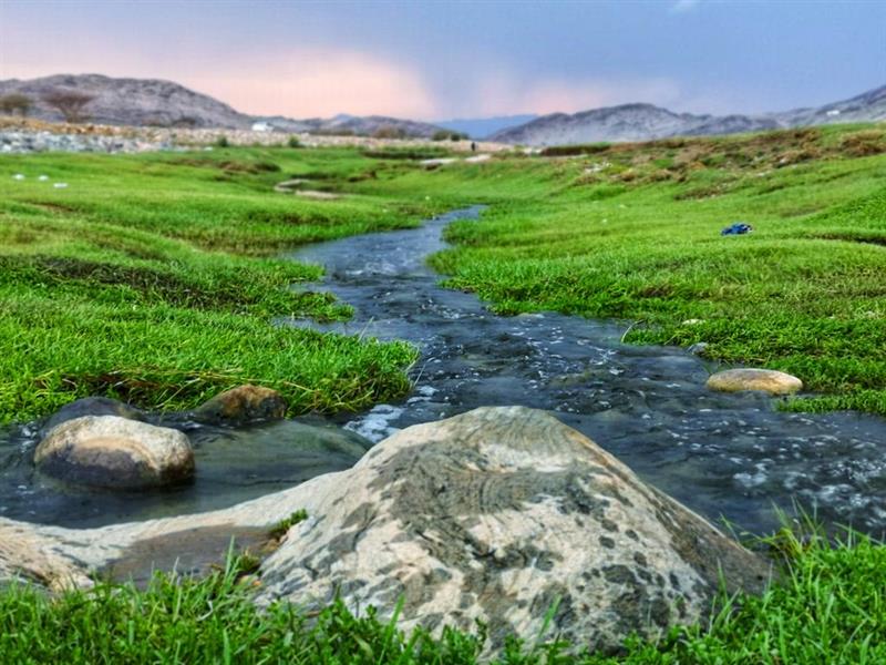 محافظة بارق