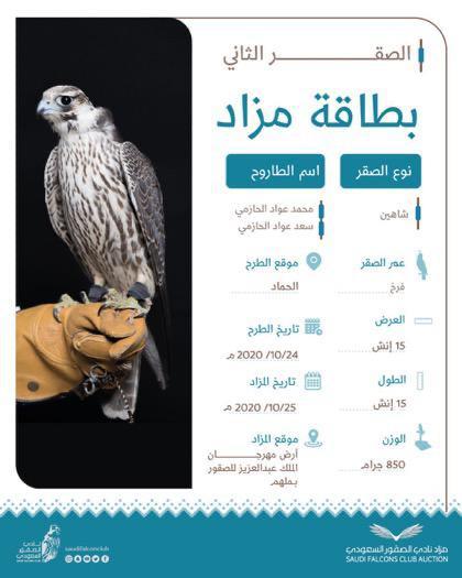 الصقور