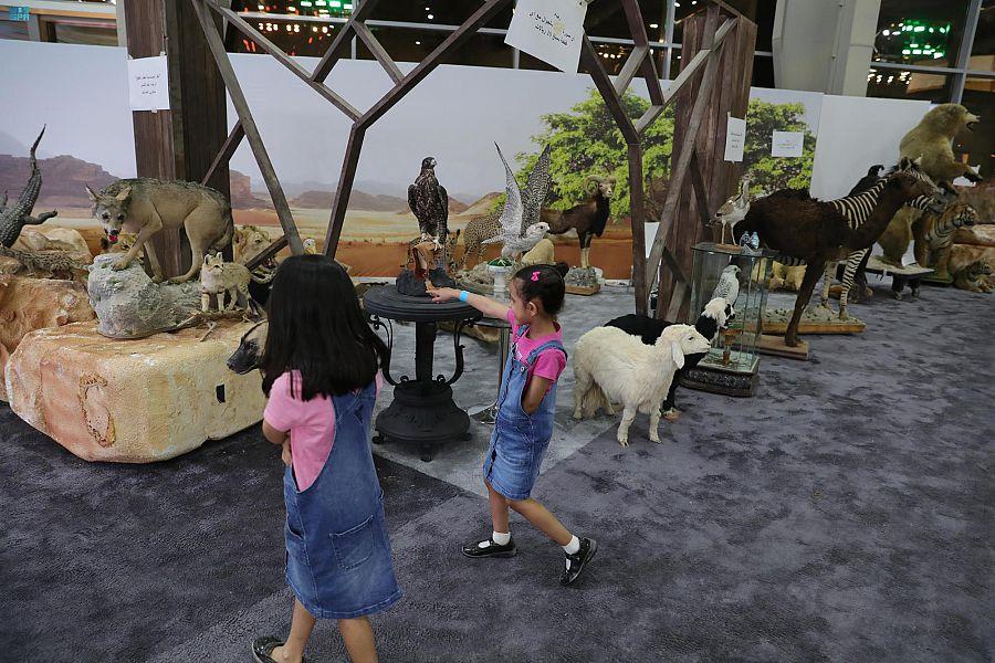 تعرّف على مراحل التحنيط في معرض الصقور والصيد السعودي الدولي بالرياض 