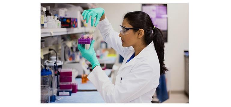 مركبات مقاومة السرطان