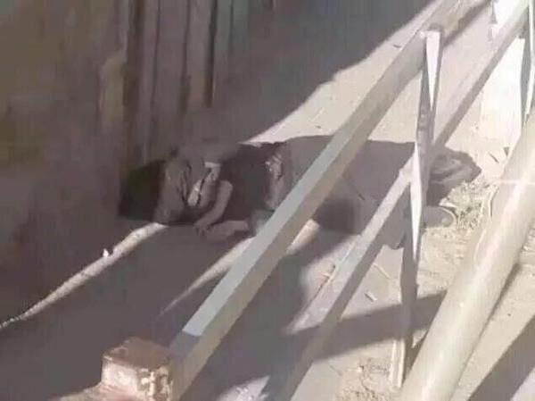 مقتل فتاة فلسطينية برصاص إسرائيلي - فيديو وصور
