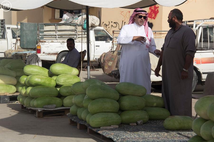 500 مركبة تنقل يوميًا حبحب وادي الدواسر للسوق 500 مركبة تنقل يوميًا حبحب وادي الدواسر للسوق