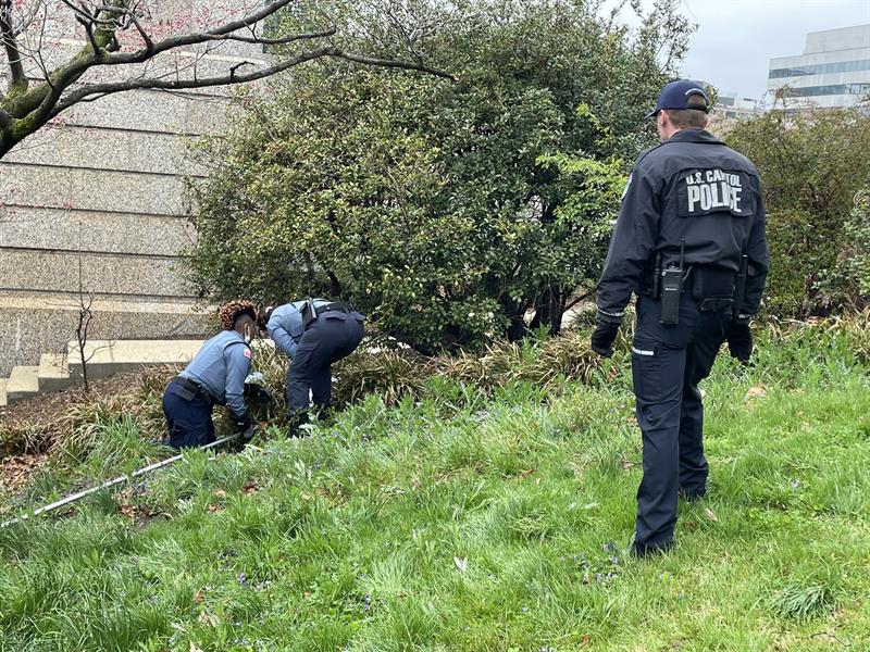 ثعلب يهاجم ويعض المارة قرب 