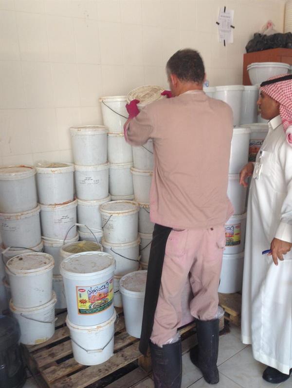 المخللات في احواض ملوثة بالحشرات