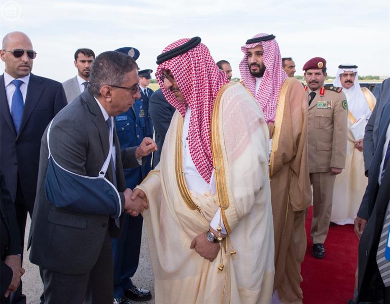 الصور الصور