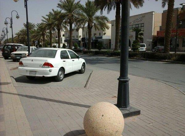 الصور الصور