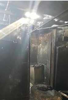 الصور الصور