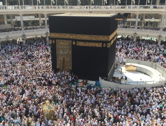 الصور الصور