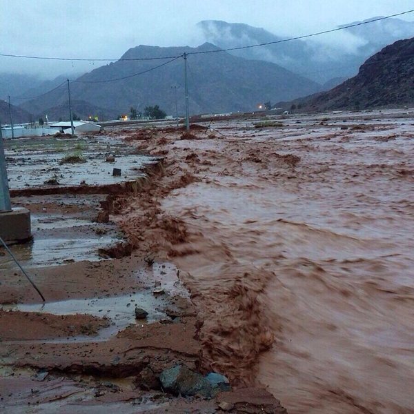 بالفيديو والصور.. أمطار وسيول بعدد من الأودية بمنطقة تبوك صباح اليوم