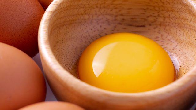 صفار البيض صفار البيض