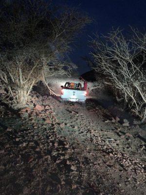 شاهد.. أسراب من الجراد تجتاح محافظة رنية وجهود مكثفة لمكافحته  