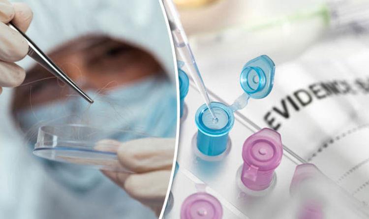 4- العلكة تكشف غموض قضية قتـل واغتصـاب أمريكية بعد 26 عاماً