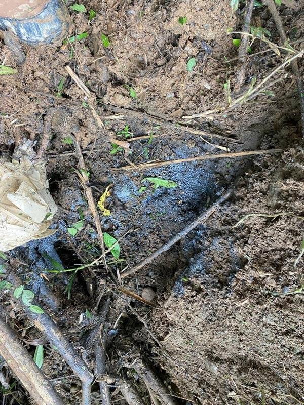  إحباط محاولة اغتيال نائبة الرئيس في كولومبيا