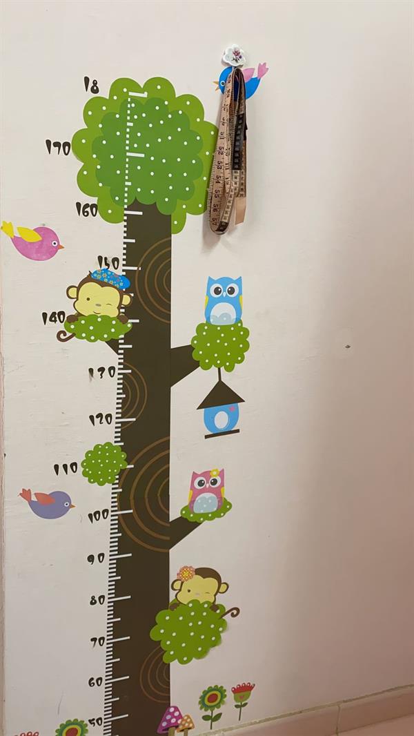 استعدادات التعليم