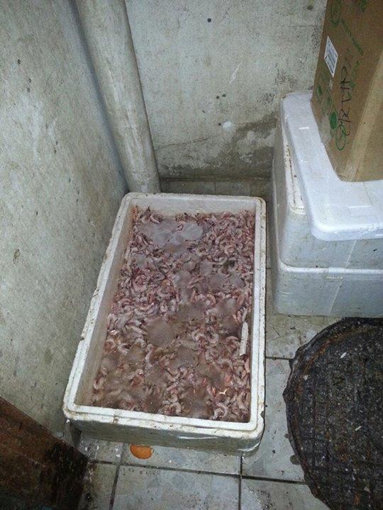 صور حملة امانة الرياض