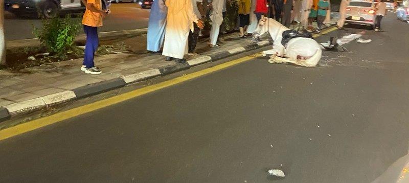 إصابة حصان وتلف مقدمة مركبة بعد حادث سير في 