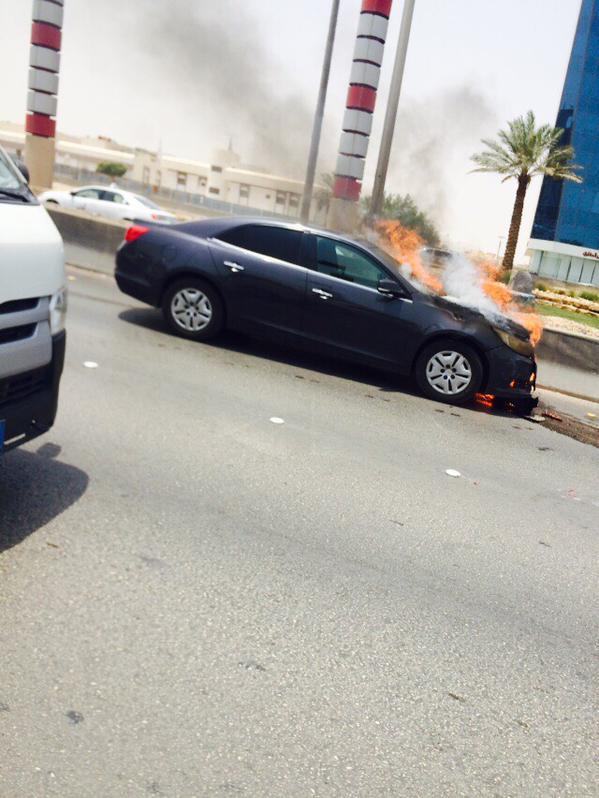 الصور الصور