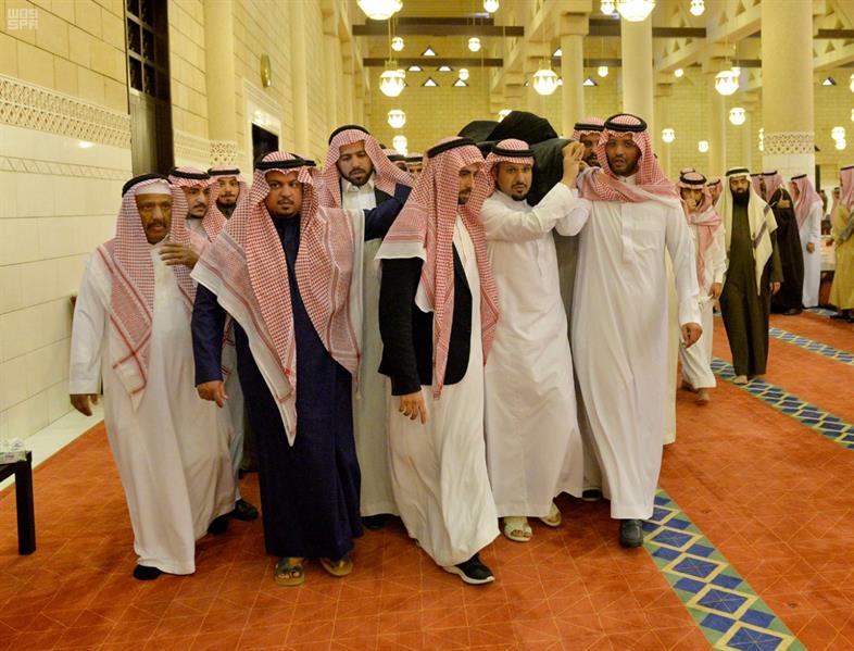 الصور الصور