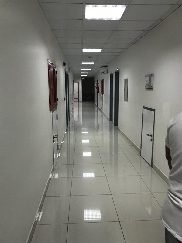 الصورة الصورة