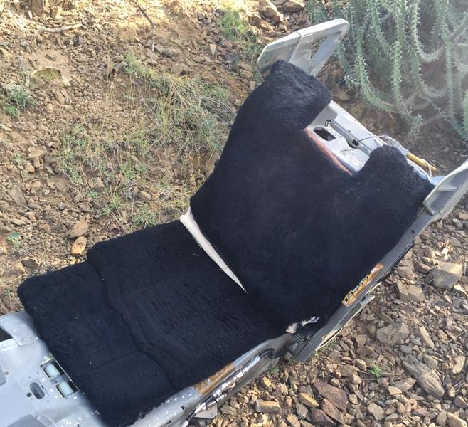 الصورة الصورة