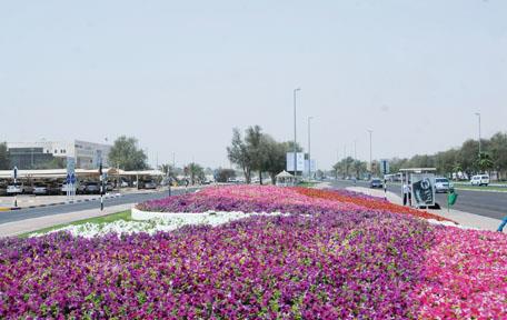 العين تتكحل بمليوني زهرة