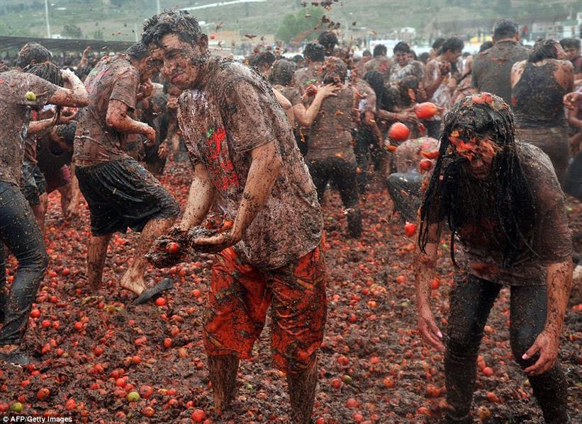 مهرجان الطماطم مهرجان الطماطم