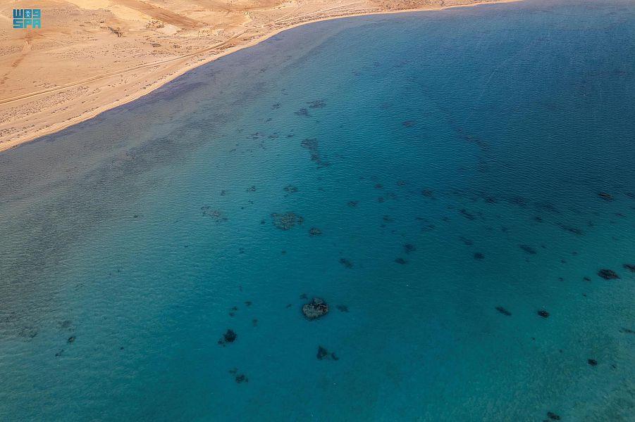 شاطئ الهرابة