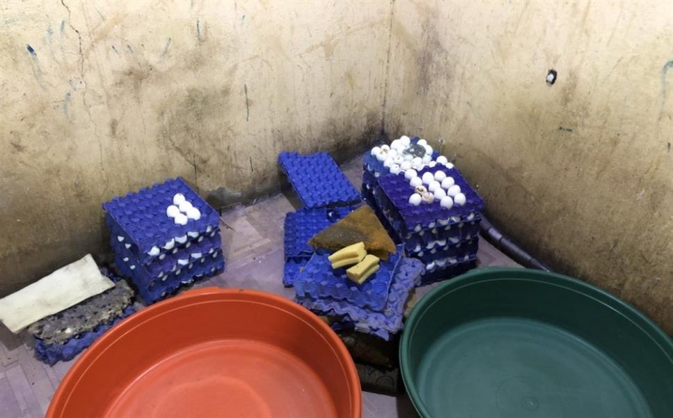 الحدث الحدث