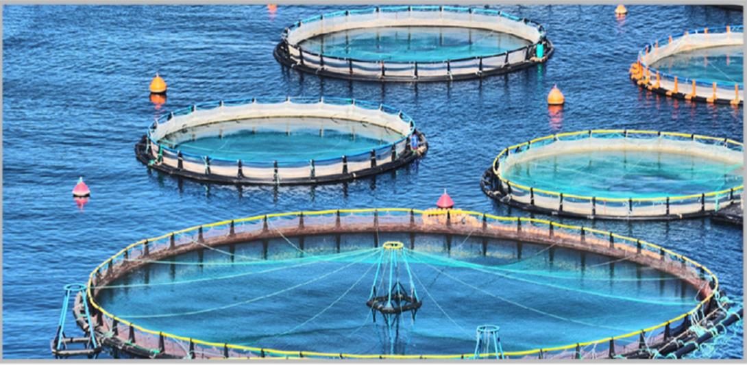 صندوق التنمية الزراعية